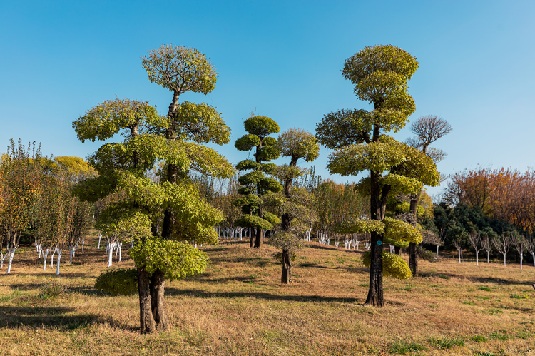 京山县人口_湖北荆门下辖区县数据——钟祥市经济总量第一,京山市第二