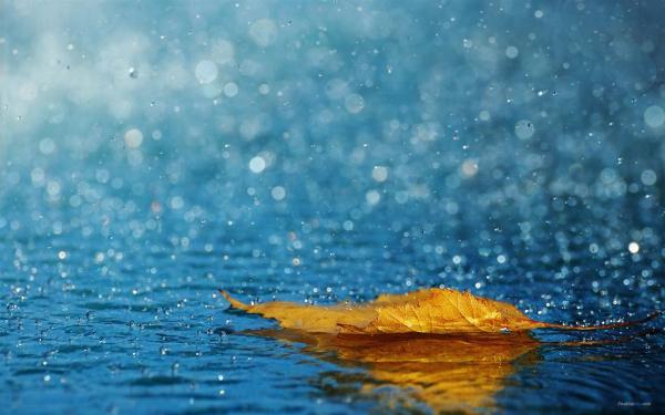 上联：今夜又闻风吹雨，如何对下联？