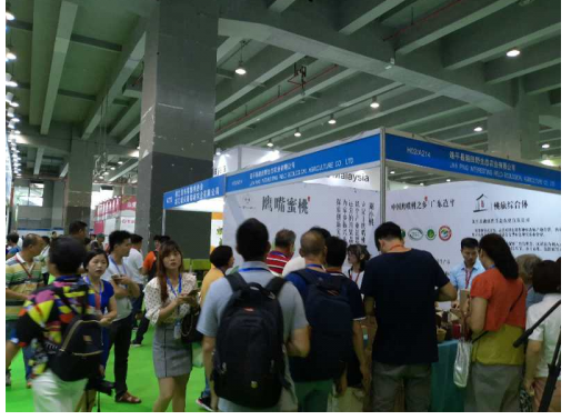 短线做品质 长线做品牌2019世界水果产业博览会正式开幕