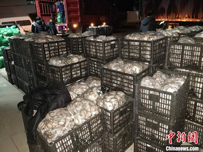 广西农民“组团”为武汉捐赠12吨蔬菜