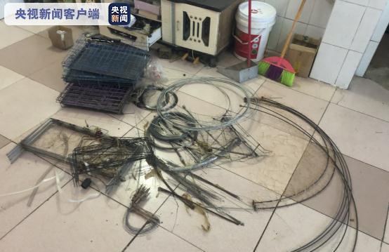 野生动物装“野菜” 猎捕工具网上卖……云南四川警方接连查处相关案件