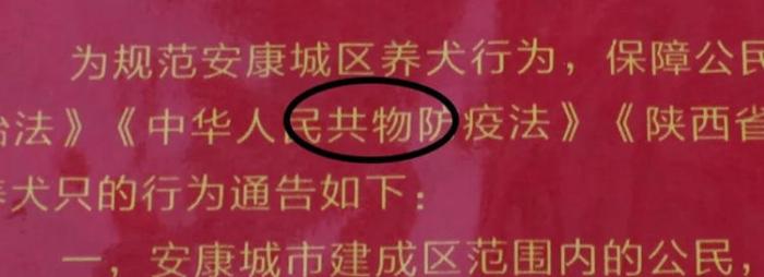 陕西一政府通告错字连篇 ＂饲养犬只＂写成＂思想全职＂