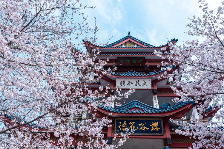 太湖