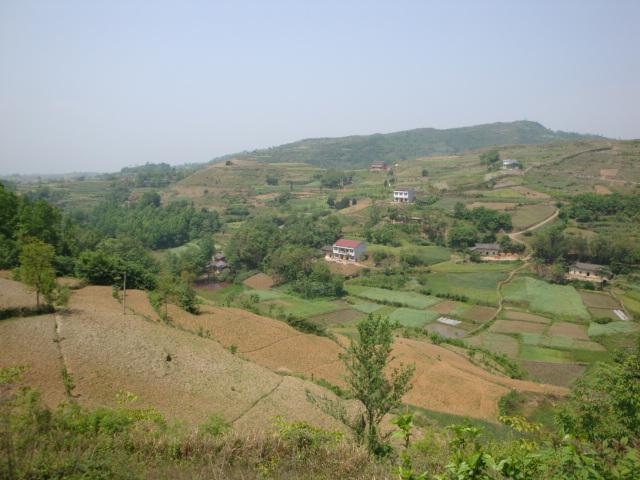 新华村[陕西省安康市汉滨区五里镇新华村]