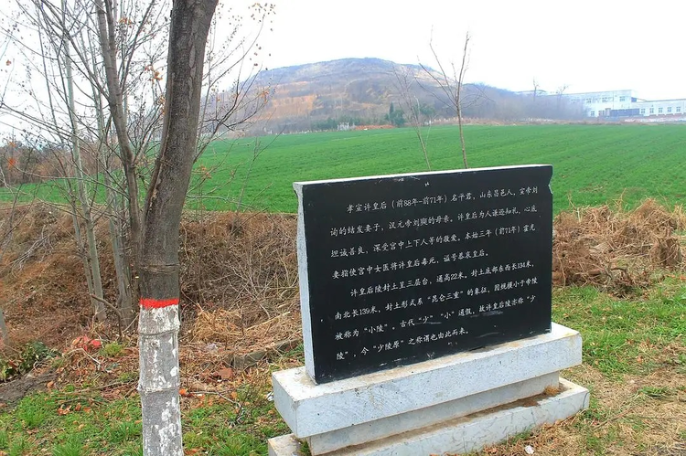 许平君