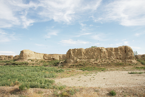 新疆维吾尔自治区