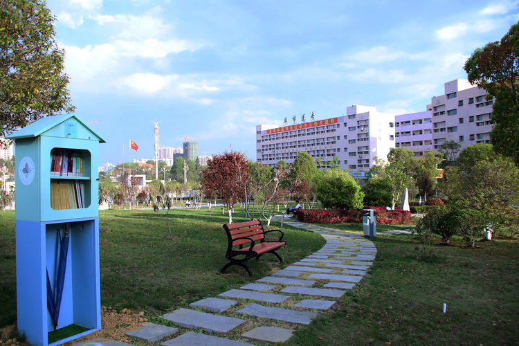 大方县