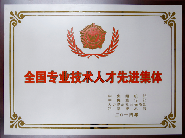 对专业人才进行表彰奖励