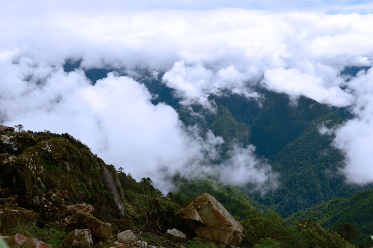 四川雅安，天全县喇叭河风景区焦山观云海