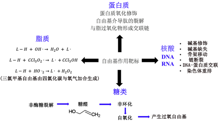 抗氧化剂