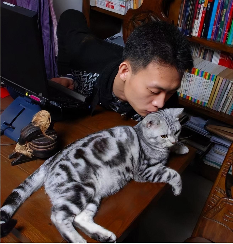 张译.png