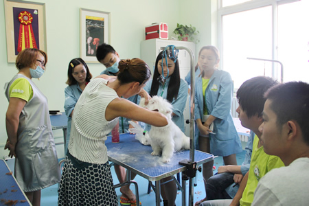 圣宠宠物美容学校