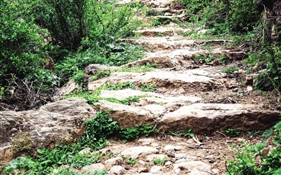 威宁彝族回族苗族自治县