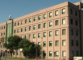 意大利罗马二大