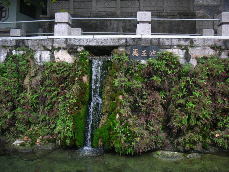 大禹