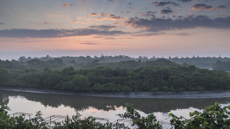海南海口市演丰东寨港自然保护区