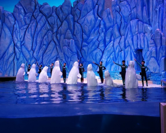 珠海长隆国际海洋度假区