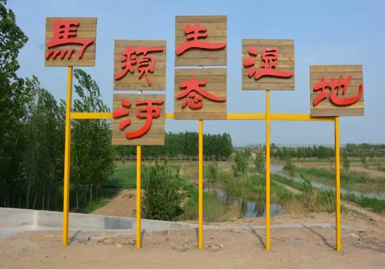 平原县