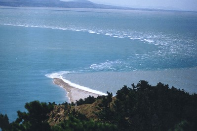 长岛海洋生态文明综合试验区