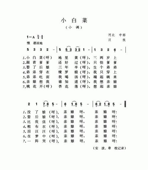 小白菜