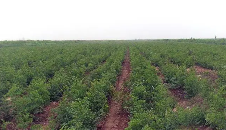 屏幕截图 2023-10-24 144834.png