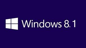 windows8.1