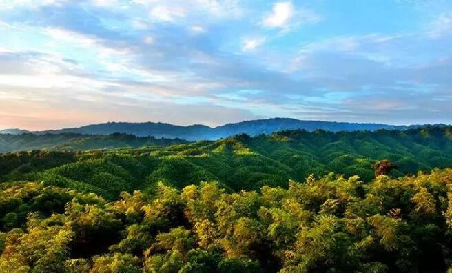 贵州赤水丹霞国家地质公园