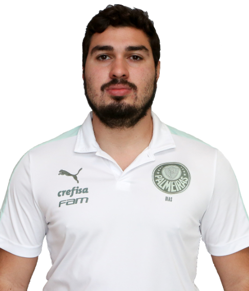 帕尔梅拉斯足球俱乐部