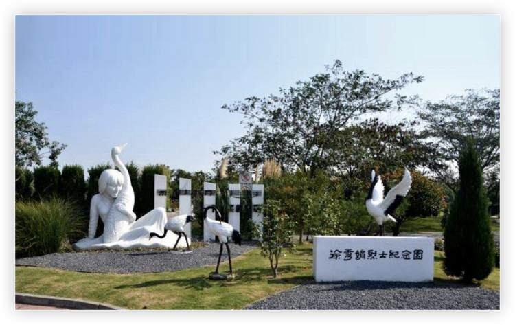 徐秀娟