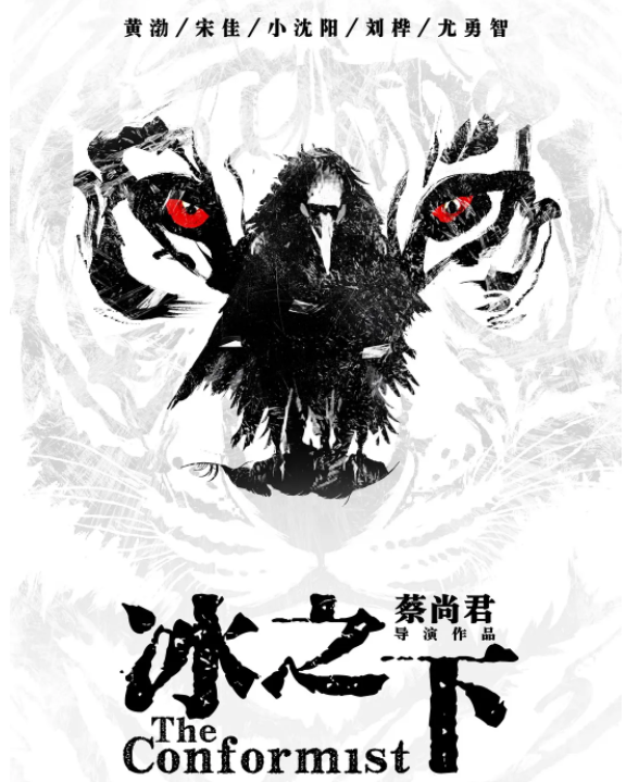 桑德拉·伯格曼