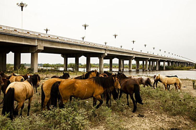 察布查尔锡伯自治县