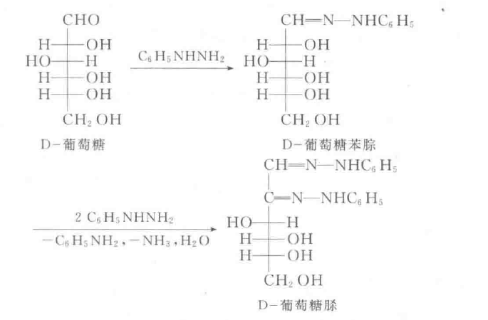 葡萄4.png