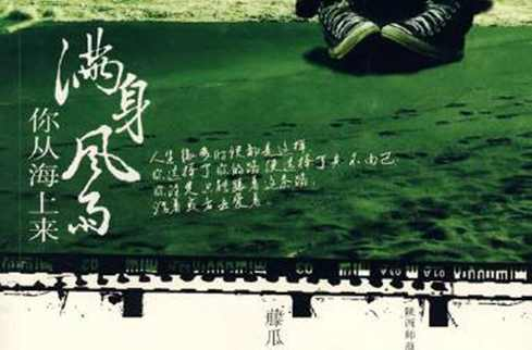 满身风雨你从海上来