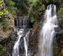 飞龙湖国家森林公园