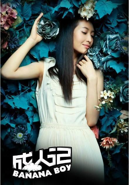 成人记[2012年柳广辉导演电视剧]