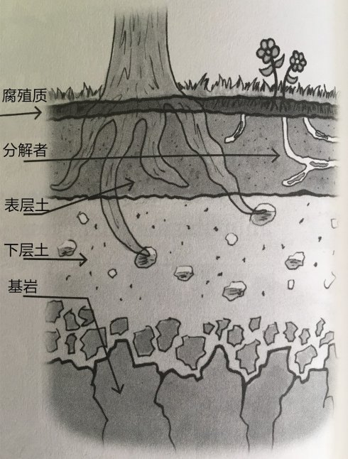 土壤
