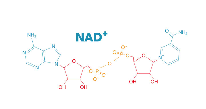 NAD