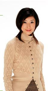 夫妇[日本2004年田村正和主演电视剧]