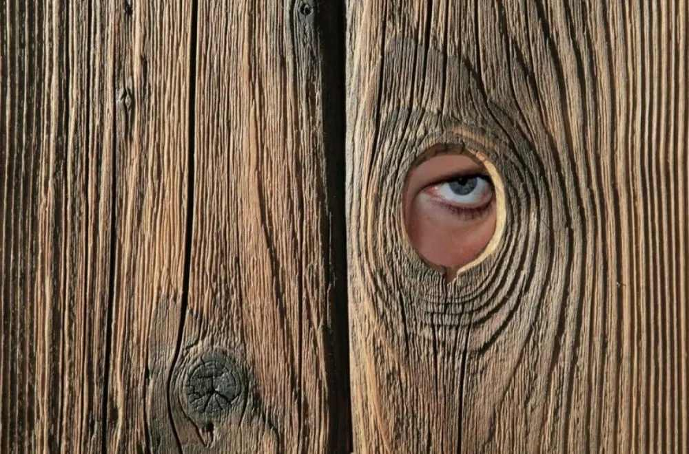 你的背后有只眼