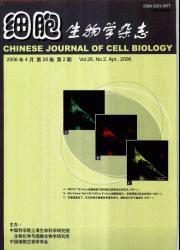 细胞生物学杂志