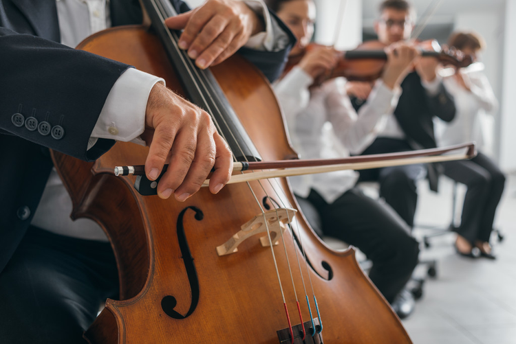 专业大提琴演奏家的手近距离Professional cello player's hands close up