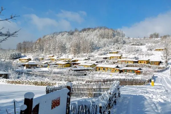 锦江木屋村.jpeg