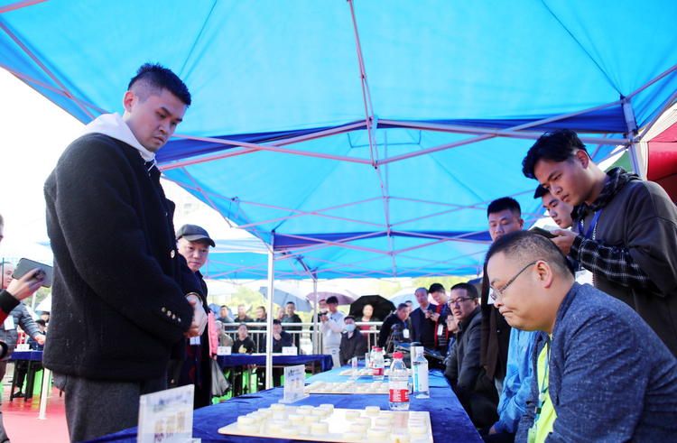 象棋世界冠军王天一表演车轮战 永川雨中1对15