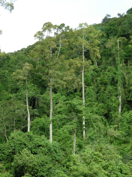 西双版纳傣族自治州