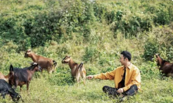 尼格买提·热合曼