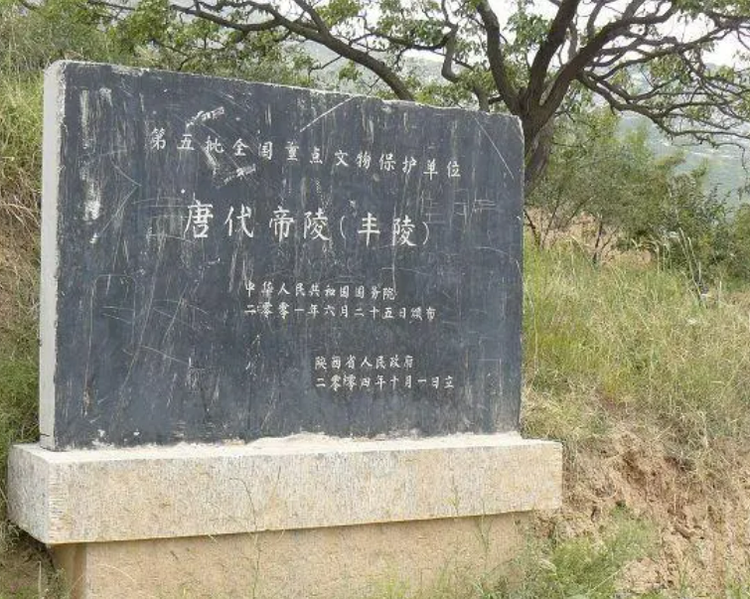 顺宗丰陵.png