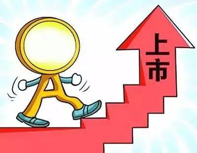 企业上市