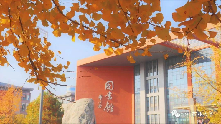 沈阳农业大学