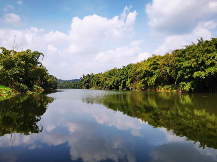 威远县(中国四川省内江市下辖县)_百科资料_新农商网