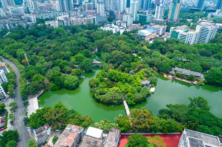 柳州柳侯公园及周边建筑航拍